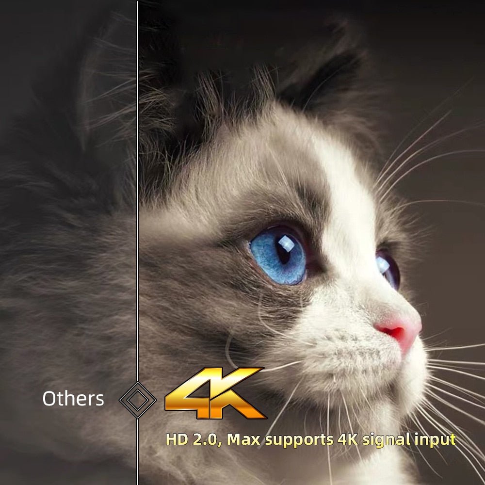 Portable / Compact Projectors HD /4K / 3D